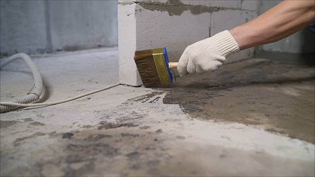 Top rated local Basement Waterproofing specialists in Rushsylvania, OH